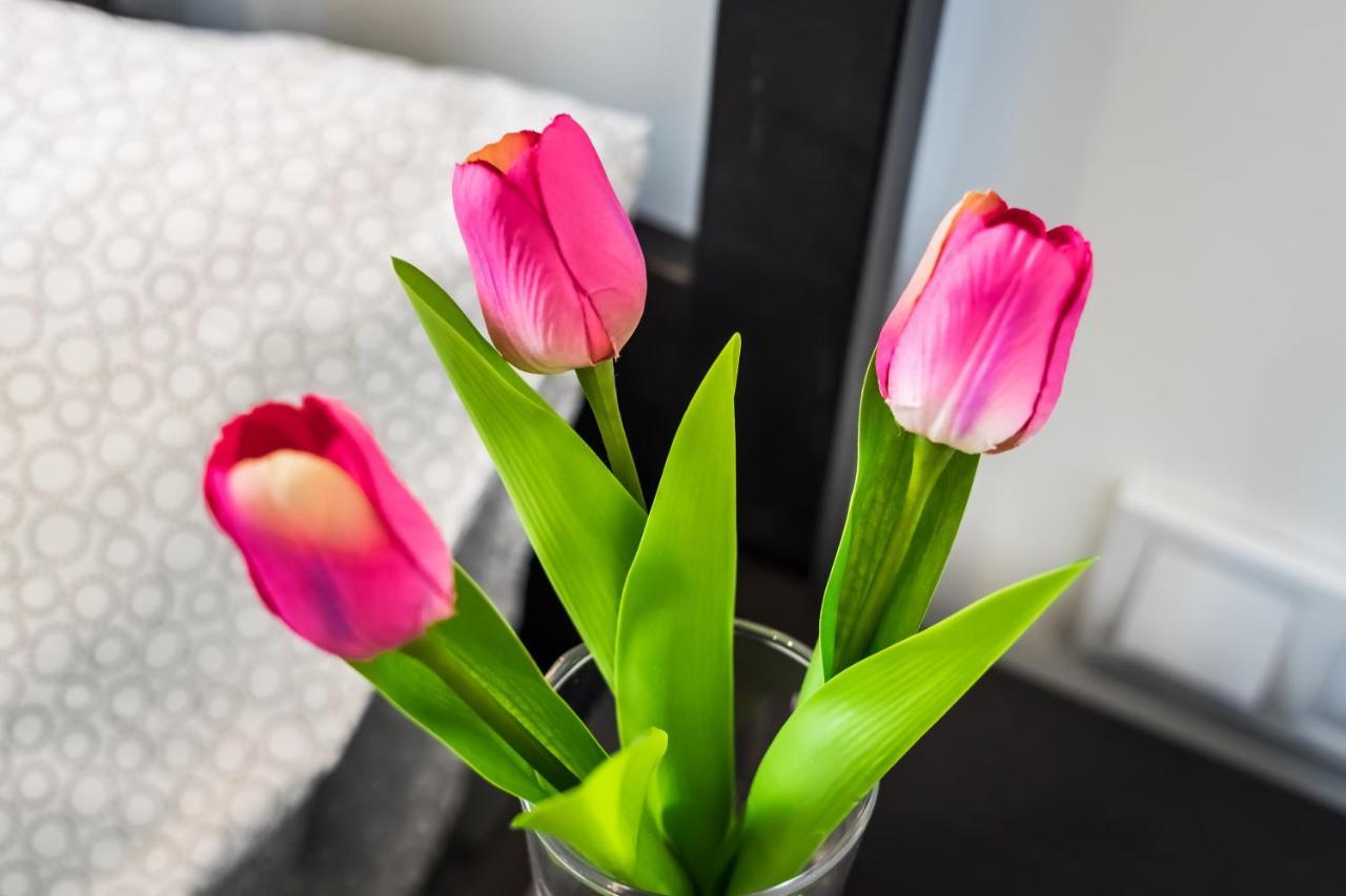 Appartement Cosy In The Heart Of The